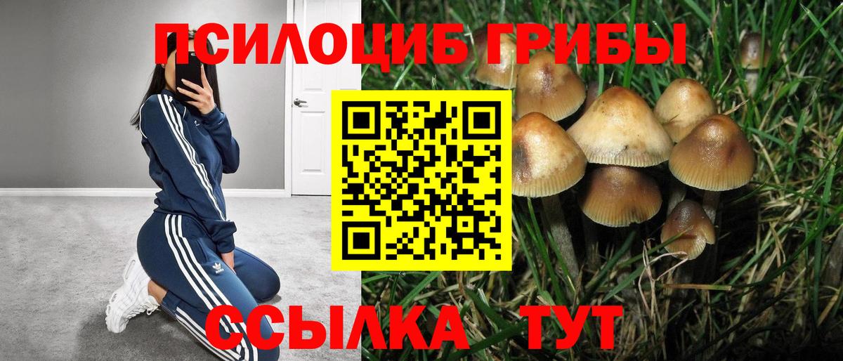 Псилоцибиновые грибы MAGIC MUSHROOMS Богданович