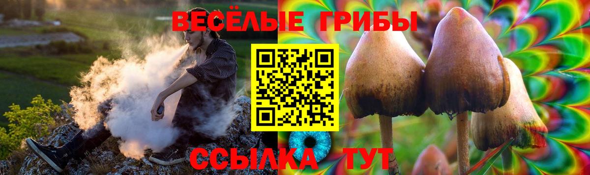 Псилоцибиновые грибы Cubensis  Вход с VPN  Богданович 